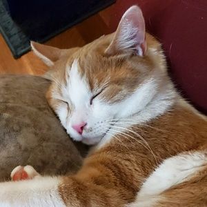 Meet your Posher, Jessy